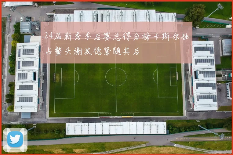 24届新秀季后赛总得分榜卡斯尔独占鳌头谢泼德紧随其后