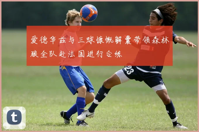 爱德华兹与三球慷慨解囊带领森林狼全队赴法国进行合练
